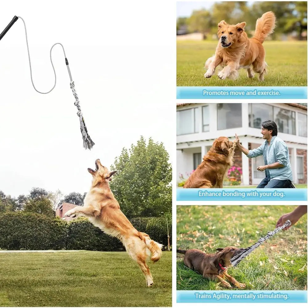 Interactive Chase and Tug-O-War Outdoor Dog Toys, Heavy Duty Dog Teaser Wand Chase Toys with Rope, Durable Stick Pole for Dogs O