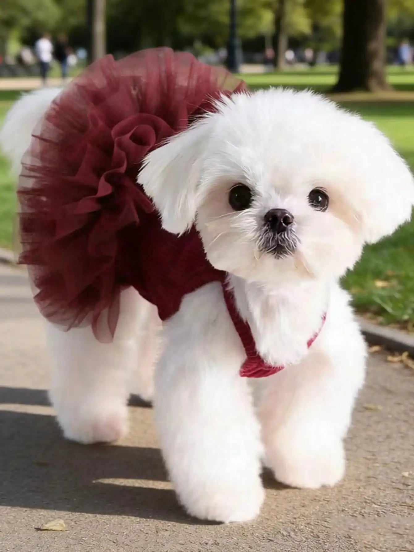 1pc Pet Dog Dress, Elegant Ballet Tulle Skirt Party Dress, Romantic Princess Dress, Suitable For Small Dogs & Cats, Lightweight For Spring/Summer