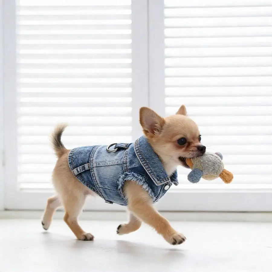 1pc Small Dog Harness Vest With Leash Clip, Denim Effect, Suitable For Spring/Autumn, Poodle, Bichon Frise, Teddy, Small Breed Dogs, Runs Small, Recommend Ordering One Size Up