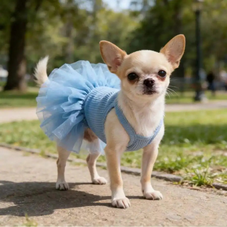 1pc Pet Dog Dress, Elegant Ballet Tulle Skirt Party Dress, Romantic Princess Dress, Suitable For Small Dogs & Cats, Lightweight For Spring/Summer