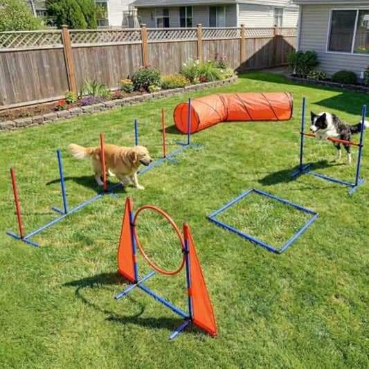 Dog Agility Training Equipment Set with Flexible Tunnel, Hurdle, Jump Ring, 6 Weave Poles, Pause Platform, Teaser Pole, and Carry Bag