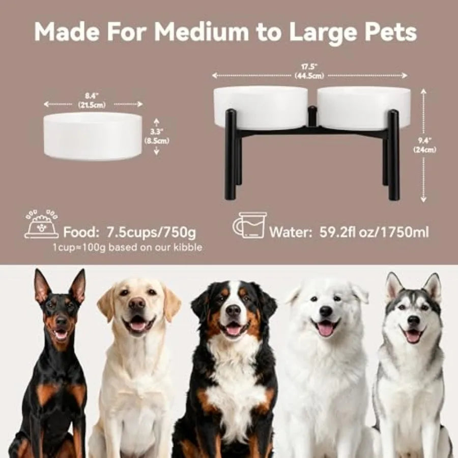 Dog Bowls Elevated - Ceramic Raised Dog Bowl with Non Slip Steel Stainless Stand - No Spill and Heated Feeding Station