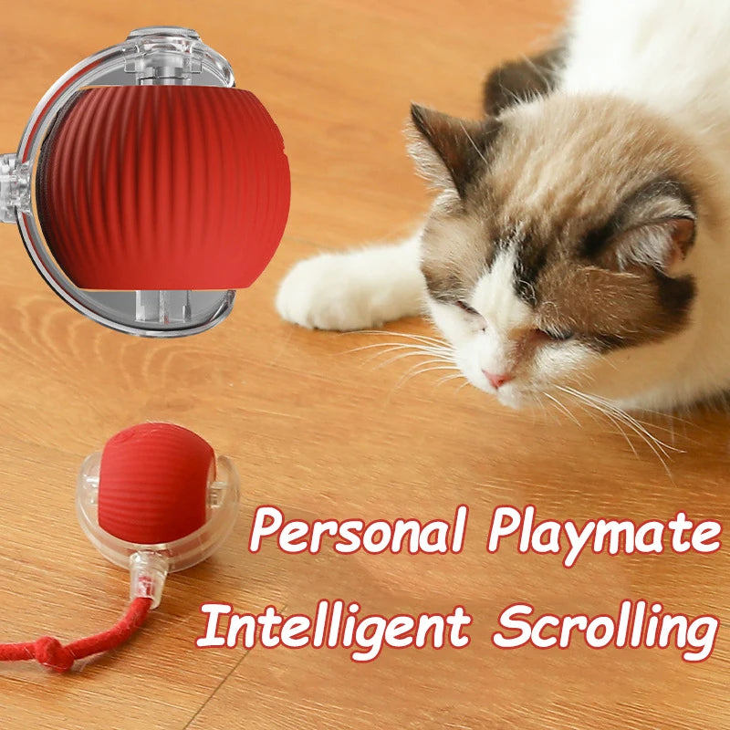 Interactive Ball Toys Automatic Rolling Ball Faux Tail Rechargeable Smart Pet Electric Toy Dog Cat Training Imitate Mouse