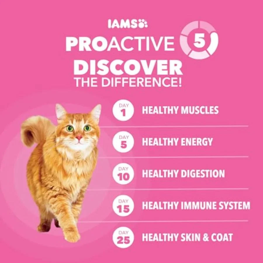 Proactive Health Sensitive Digestion and Skin Dry Cat Food, Adult Cat Food Dry Recipe with Real Turkey, 13 lb. Bag