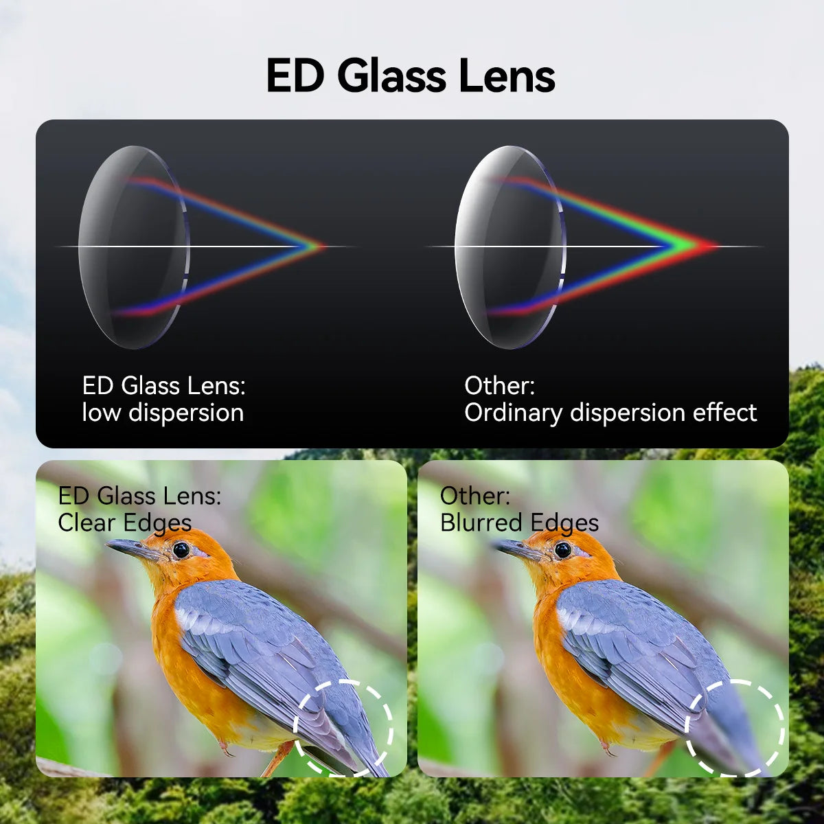 SV202 Upgraded ED Binoculars 8x32 / 8x42 / 10x42 Wide Field of View IPX7 Waterproof Fogproof Bak4 Prism for Bird Watching
