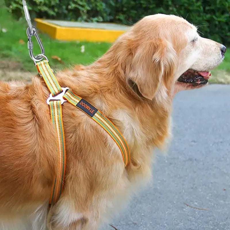 Double-Headed Dog Tie Out Cable Leash, Traction Rope with Metal Buckle, Steel Wire Anti-Rust Training Collar, Outdoor Dogs Strap
