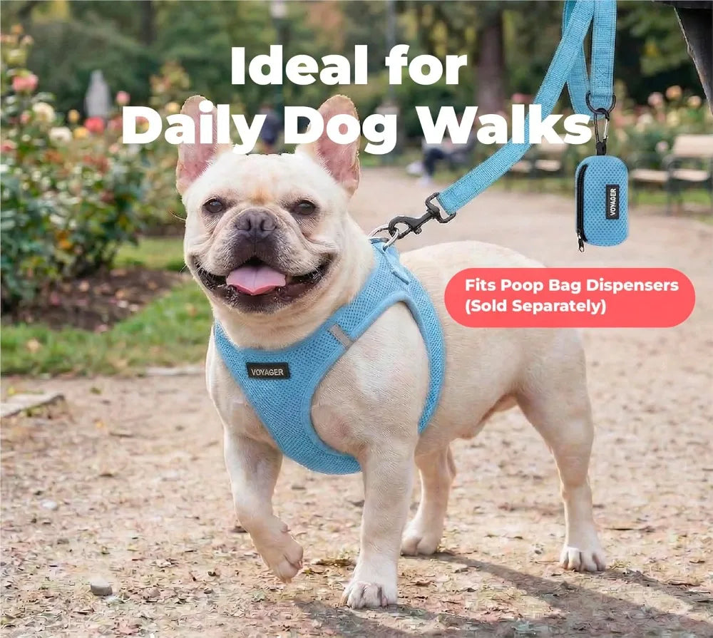 Reflective Dog Leash with Neoprene Handle, Heavy Duty Nylon, for Small to Large Dogs, Walking Running Training, Baby Blue, S