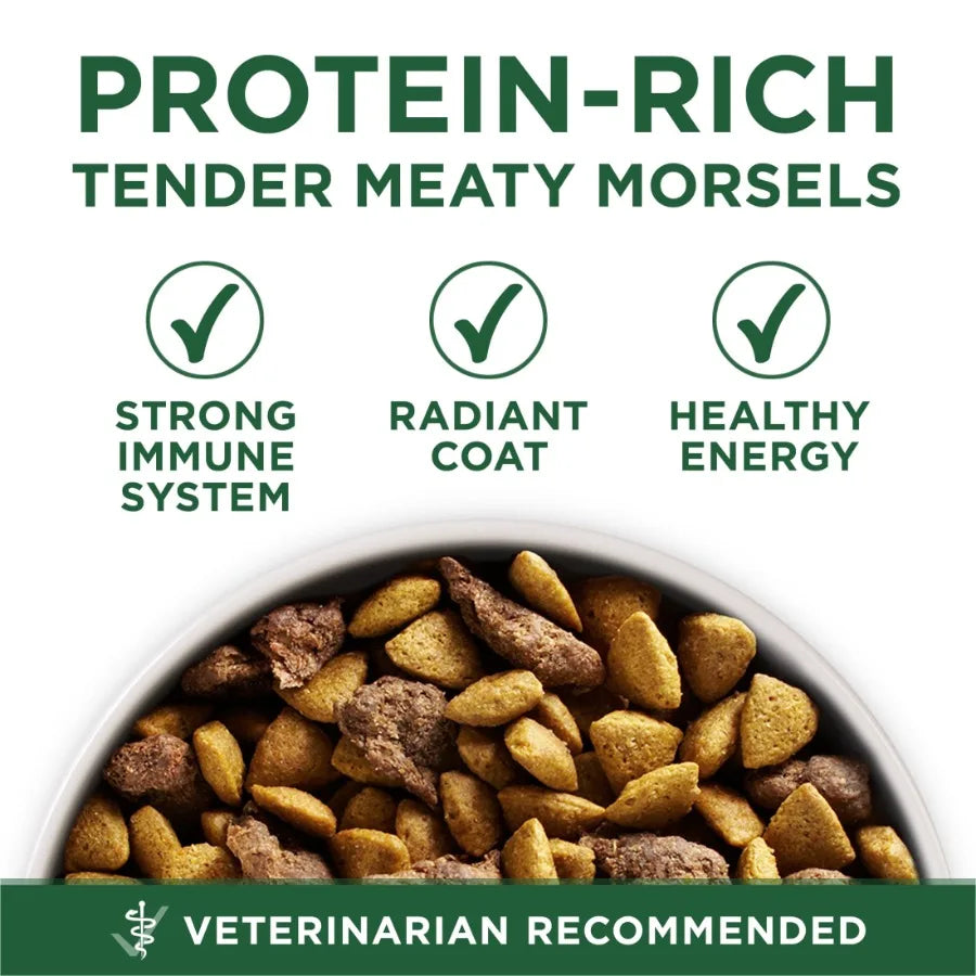 Plus Small Breed Lamb and Rice Formula Dry Dog Food 7.4 lb. Bag