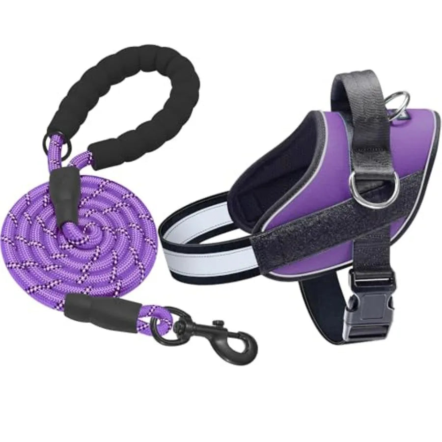 Essential Dog Harness, No Pull Pet Vest with 3 Leash Clips, No Choke, Reflective, Adjustable and Padded, for Easy Walking