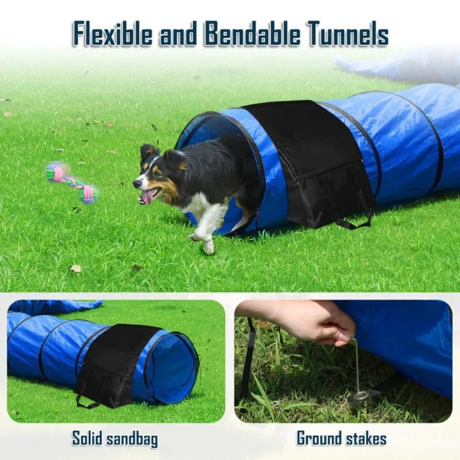 Dog Agility Course Backyard Set, Dog Agility Equipment, Portable Agility Training Equipment for Dogs, Build Dog Obstacle Course