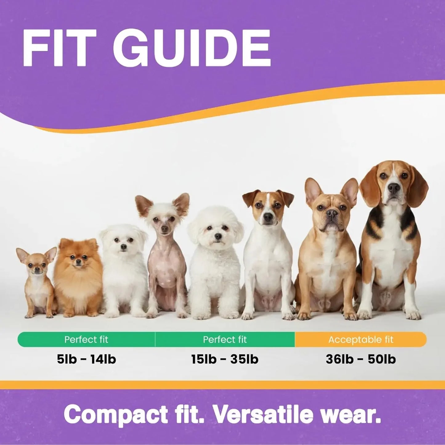 ME-300 Micro E Collar for Dog Training with Remote - 1/3 Mile Range, Waterproof, 100 Blunt Stimulation Levels, Tone
