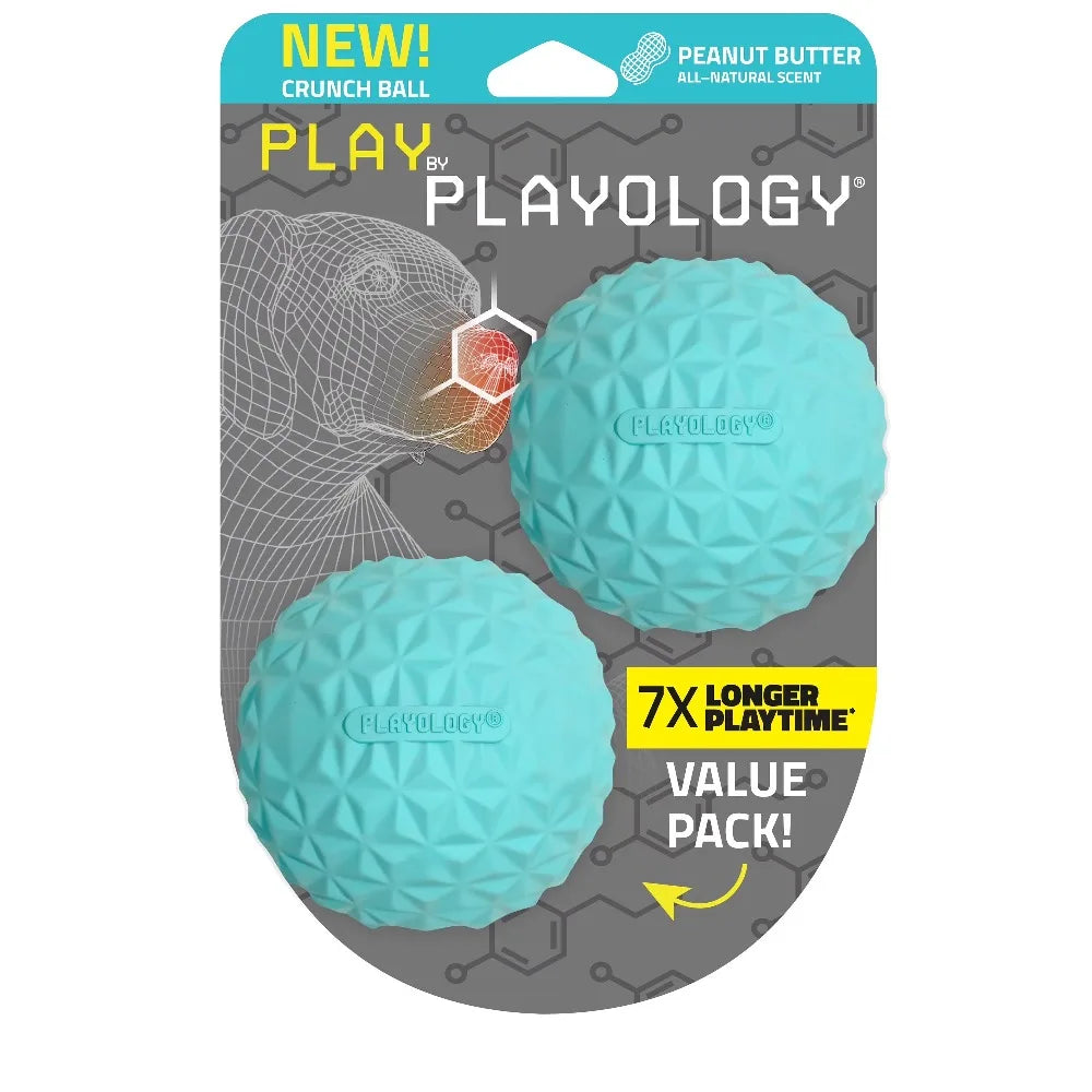 HOT SALE Interactive Dog Toys Crunchy Ball Toy 2-Pack for Dogs FUN PLAY
