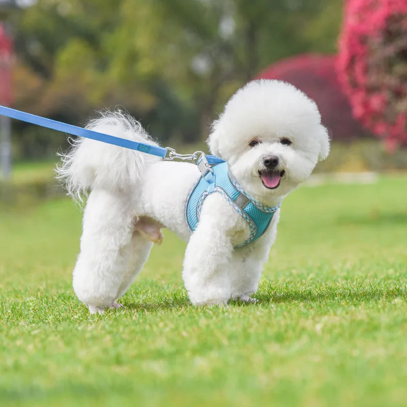 Pet Dog Harness and Leash Set for Small Medium Dog Outdoor Walking Reflective Adjustable Cat Vest Harness Chihuahua Pet Supplies