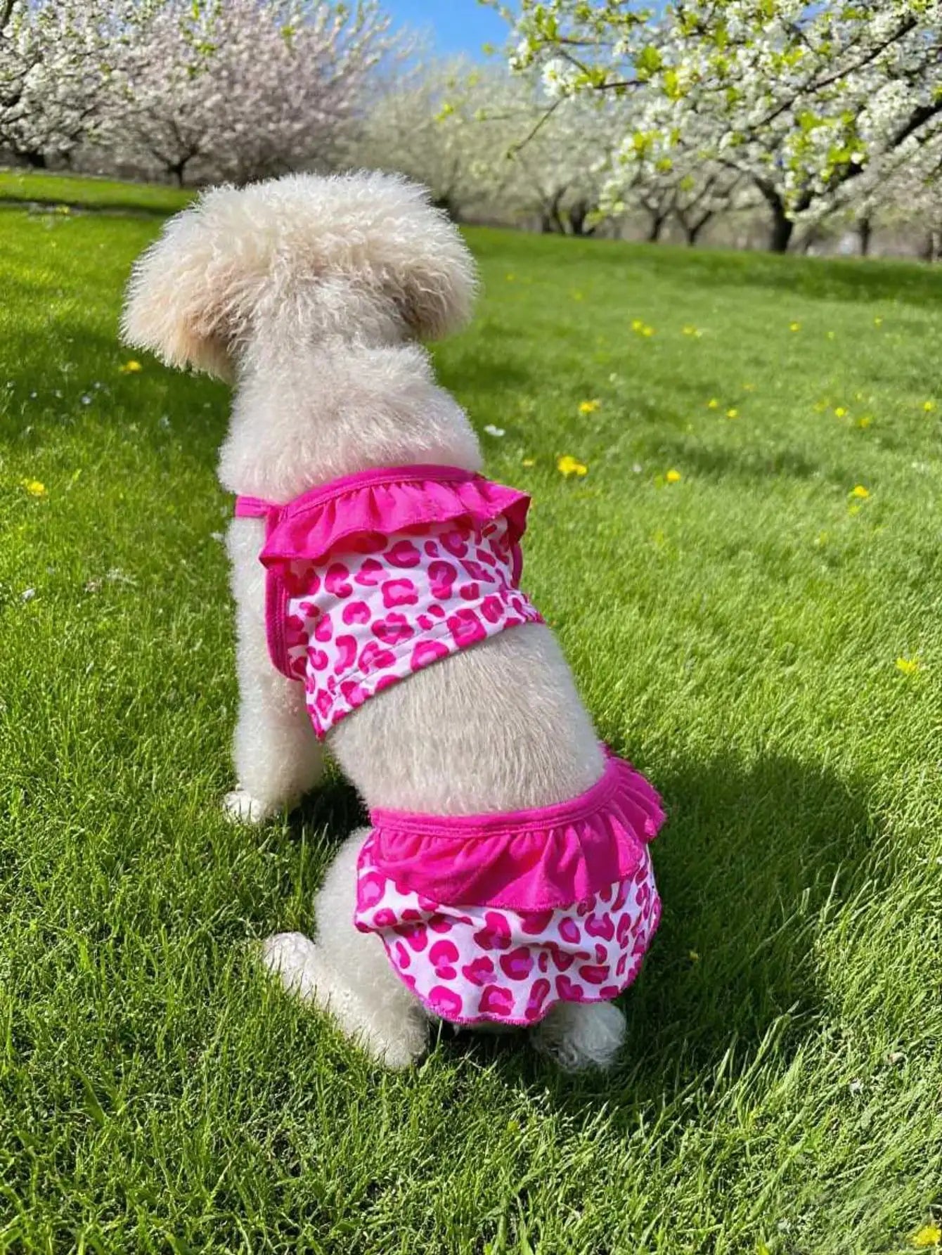 Pet Dog Apparel: Camisole Lace Printed Dress For Daily Wear & Outdoor Photoshoots; Dog Beach Bikini Spaghetti Strap Dress; Cute Small Dog Outdoor Going-Out Dresses - Summer Outfit, Pet Photography Prop & Canine Clothes