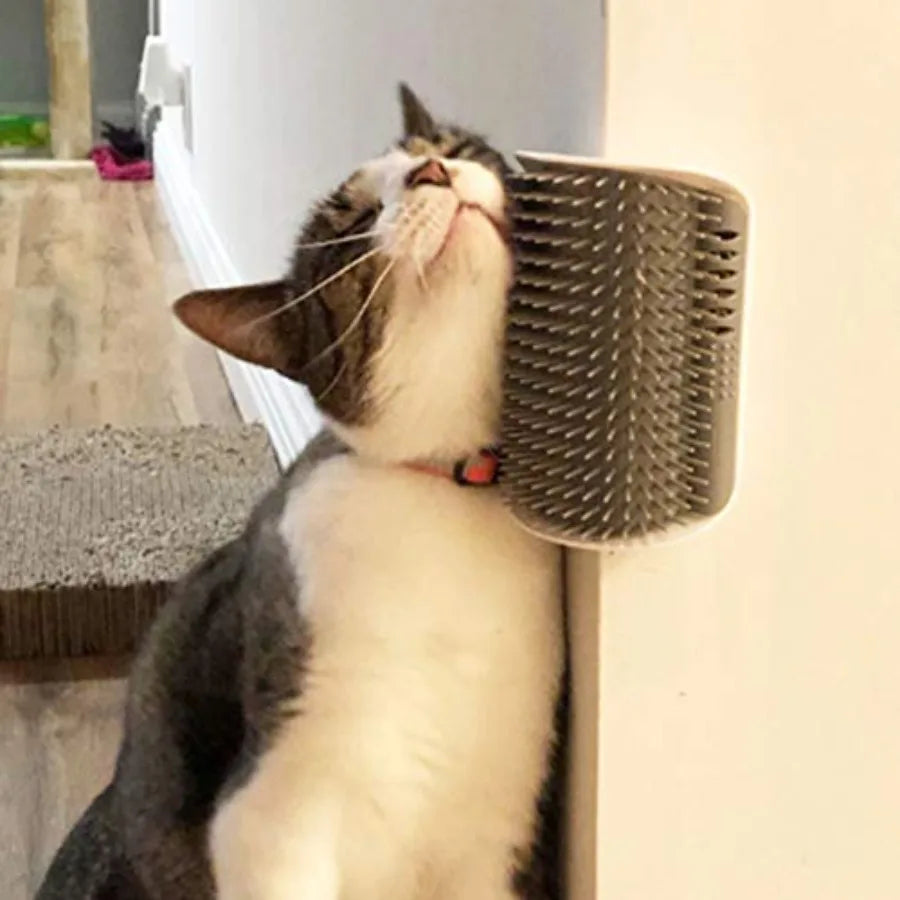 2 Pack Softer Self Groomer with Catnip Wall Corner Massage Comb Scratcher Grooming Brush Tool for Long and Short Fur Kitten Cat