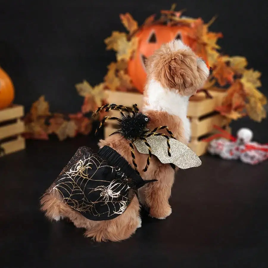 Adjustable Halloween Spider Pet Costume, Funny Cosplay Outfit For Small Medium Dogs, Unique Party Dress Up Accessories