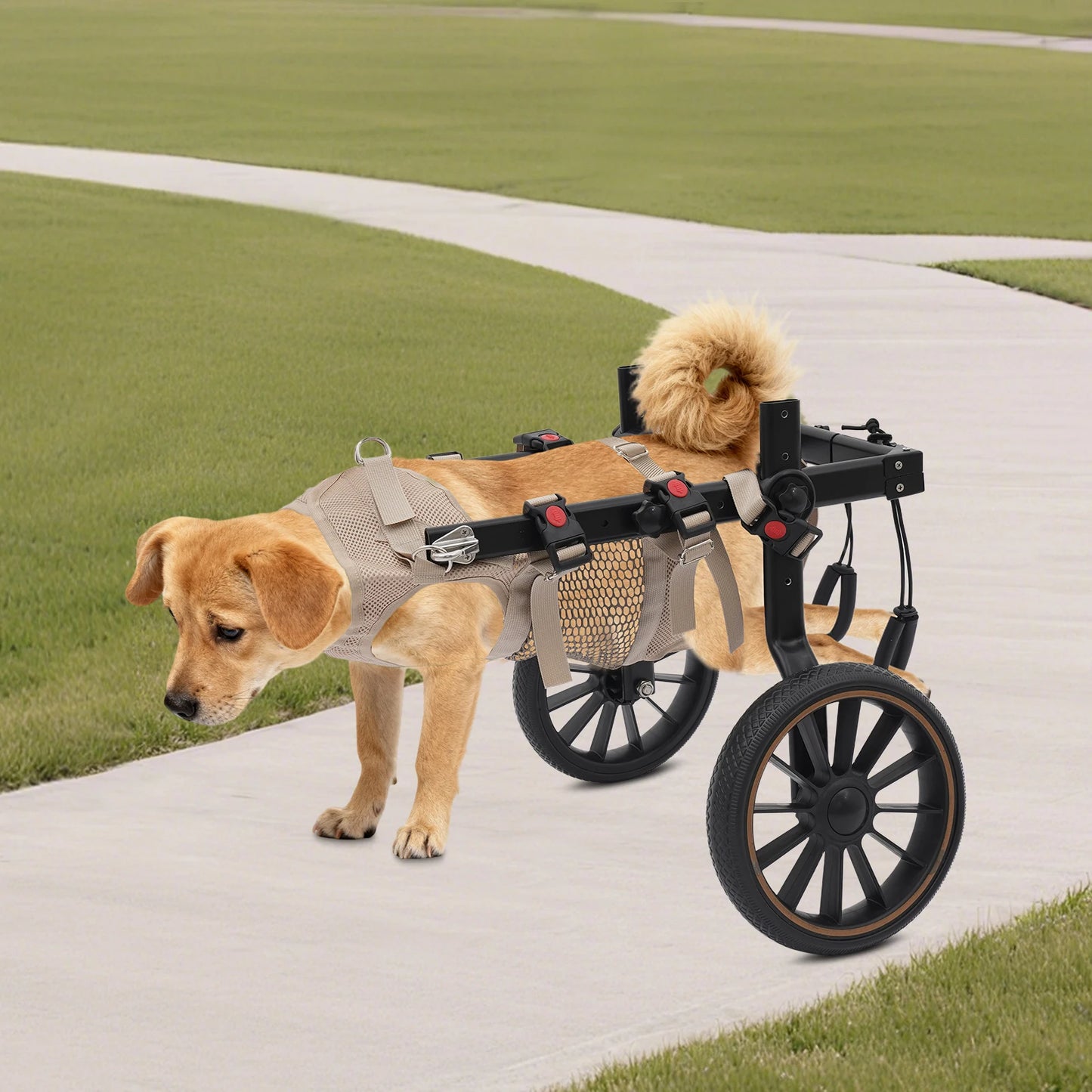 Pet Walking Aid Adjustable Dog Wheelchairs 2-Wheel Pet Rehabilitation Walking Aid Portable Walk Trolley Tools for Hind-Leg Support