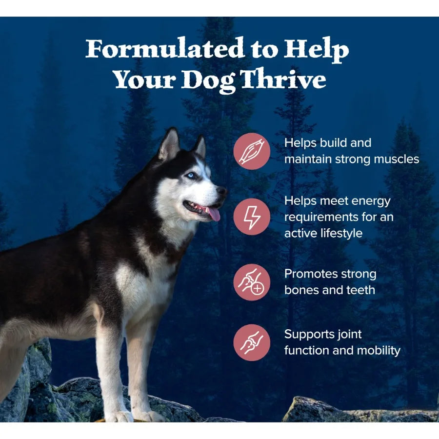High-Protein Adult Dog Dry Food, Salmon Recipe, 4.5-lb.