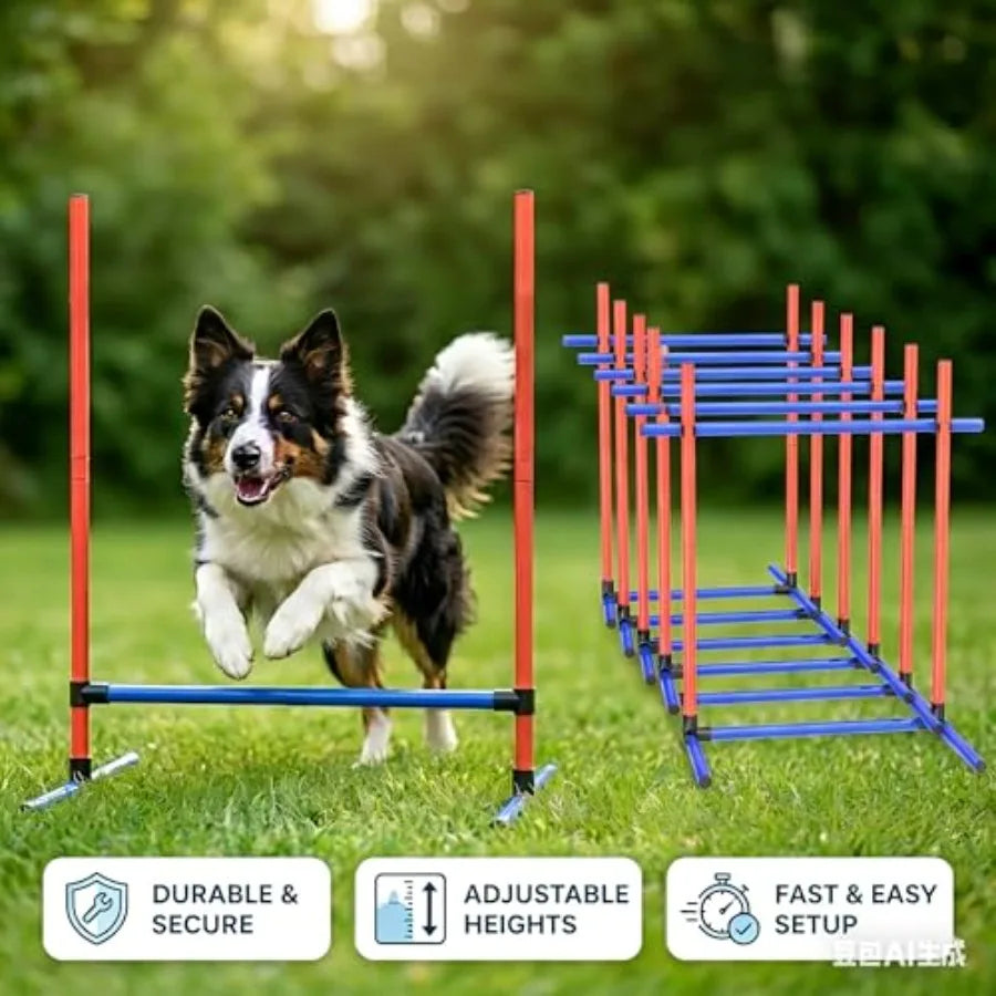 Dog Agility Training Jumping Hoop for Small Medium Dogs