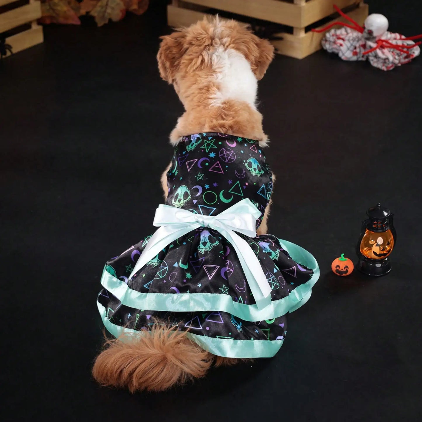 Pet Dog Dress, Funny Soft Pumpkin/Skull Print Bowknot Halloween Costume Indoor Outdoor Pet Supplies