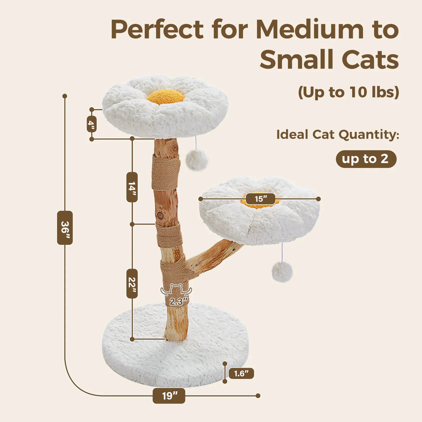Solid Wood Cat Tree Modern Cat Tower with Spacious Cat Condo, Flower Perches, Fun Pompom, Double Comfort Perfect for Indoor Kittens