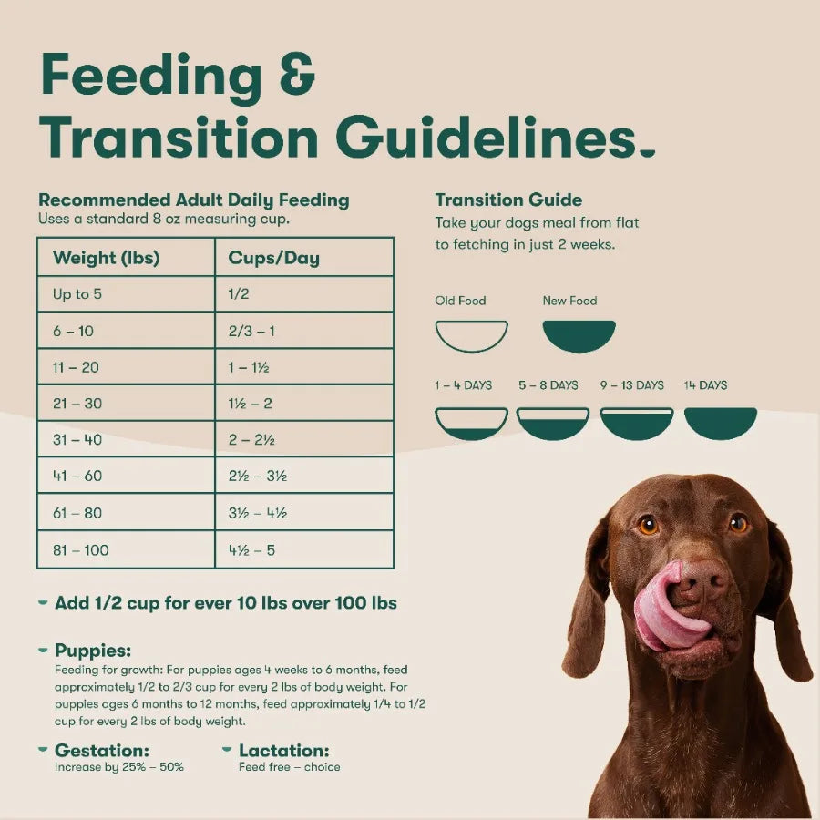 Salmon, Brown Rice, and Sweet Potato Dry Dog Food, 30lb. Bag