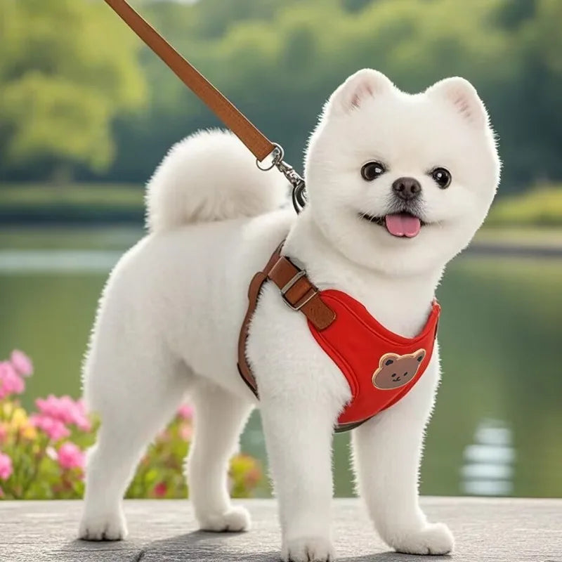 Pet Dog Harness Leash Set Small Medium Dog Cat Vest Breathable Puppy Chest Strap French Bulldog Chihuahua Harness Pet Supplies