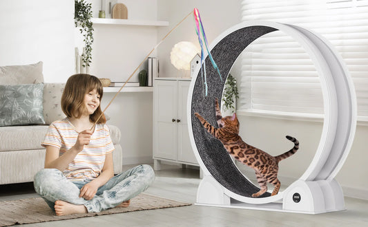 Quiet 45-inch Cat Exercise Wheel with Pedometer, Removable Mat, Pet Fitness Training Toy for Indoor, Promote Health/Weight Loss