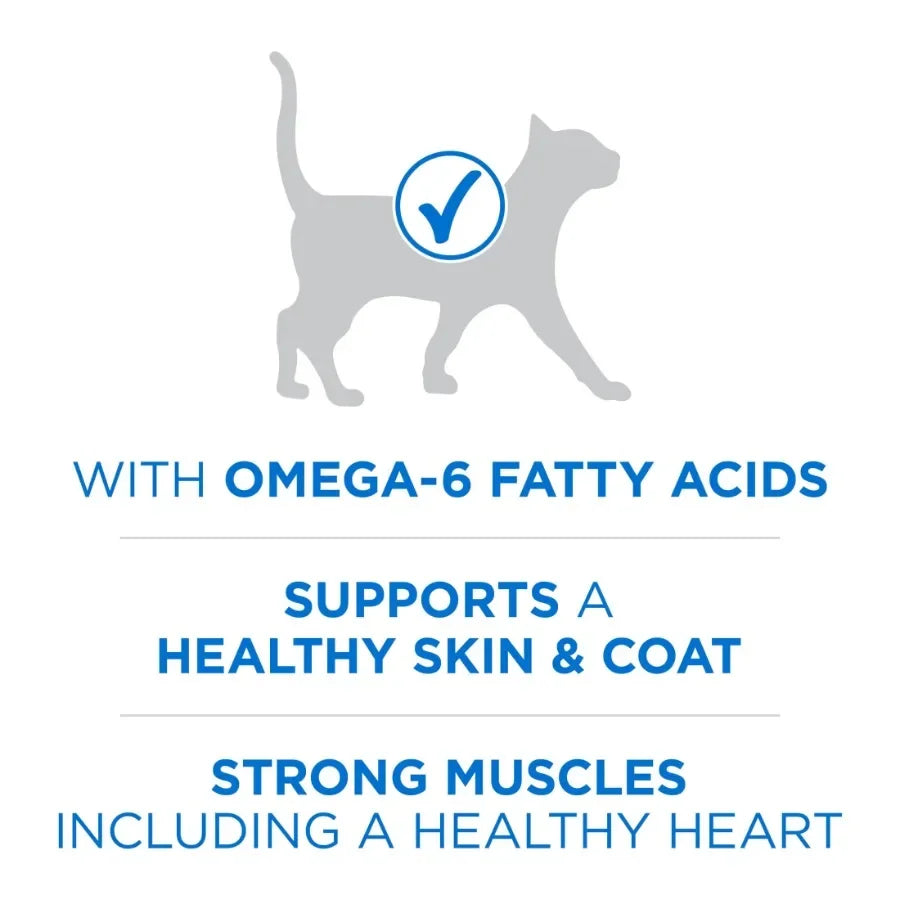 Plus Natural High Protein Dry Cat Food Salmon and Ocean Whitefish Skin and Coat Health Formula, 7 lb Bag
