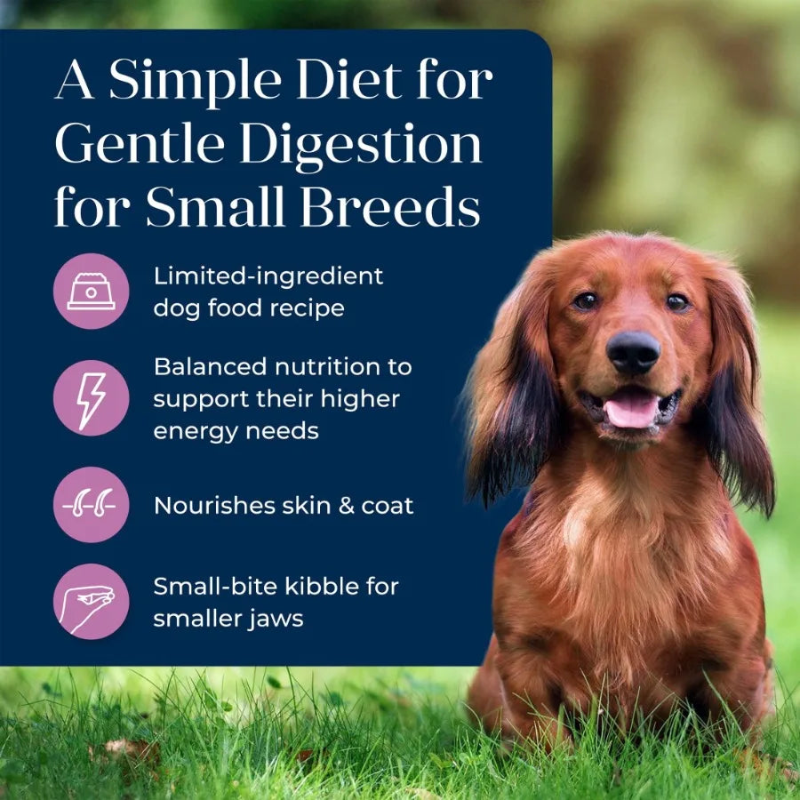 Basics Small Breed Adult Dry Dog Food, Turkey, Chicken Free, 4lb