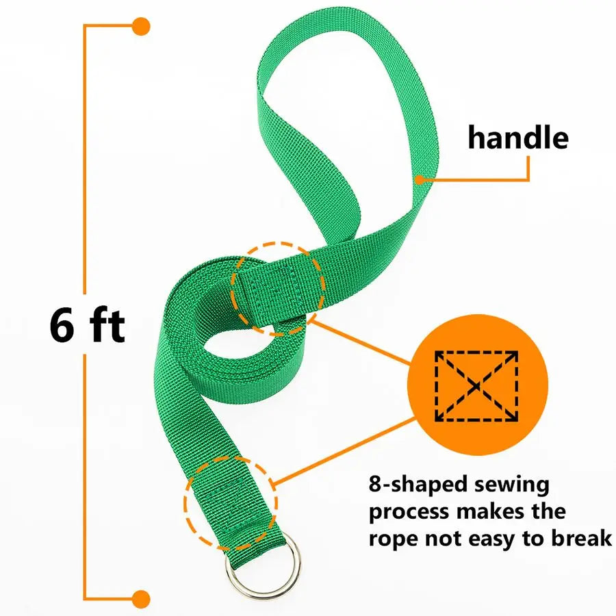 Lead Dog Leash 20 pcs Colorful 6 FT Short Dog Leashes with ORing for Small Large Dogs Puppy Cats Walking Training Running Rescue