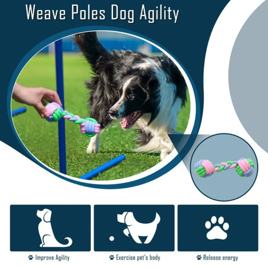 Dog Agility Course Backyard Set, Dog Agility Equipment, Portable Agility Training Equipment for Dogs, Build Dog Obstacle Course