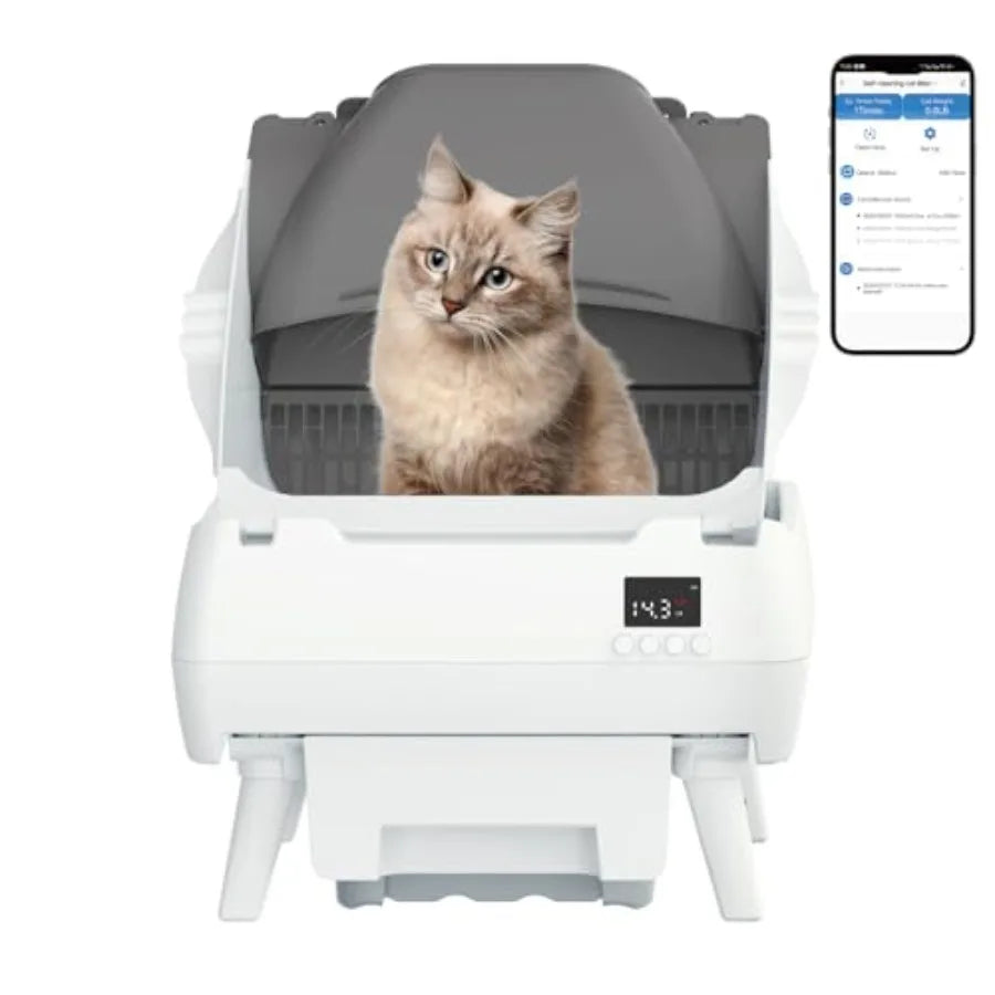Automatic Cat Litter Box Self Cleaning - App Control, Open-Design, Smart Health Monitor, Suitable for Medium Cats and Kittens,