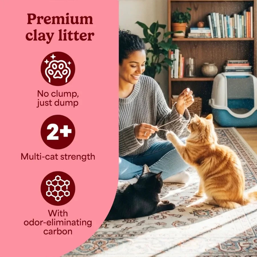Non Clumping Cat Litter With Febreze Freshness, 35 lb. Bag