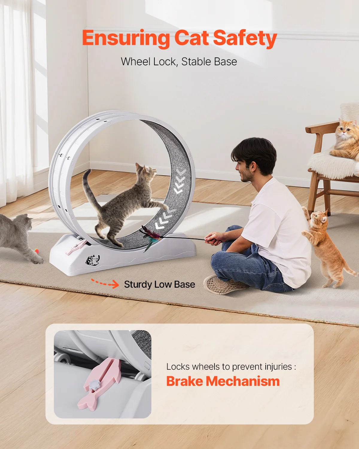 Cat Exercise Wheel 31.5in Large Wheel with Secure Brake & Carpeted Runway Quiet Operation Treadmill for Pets Weight Loss