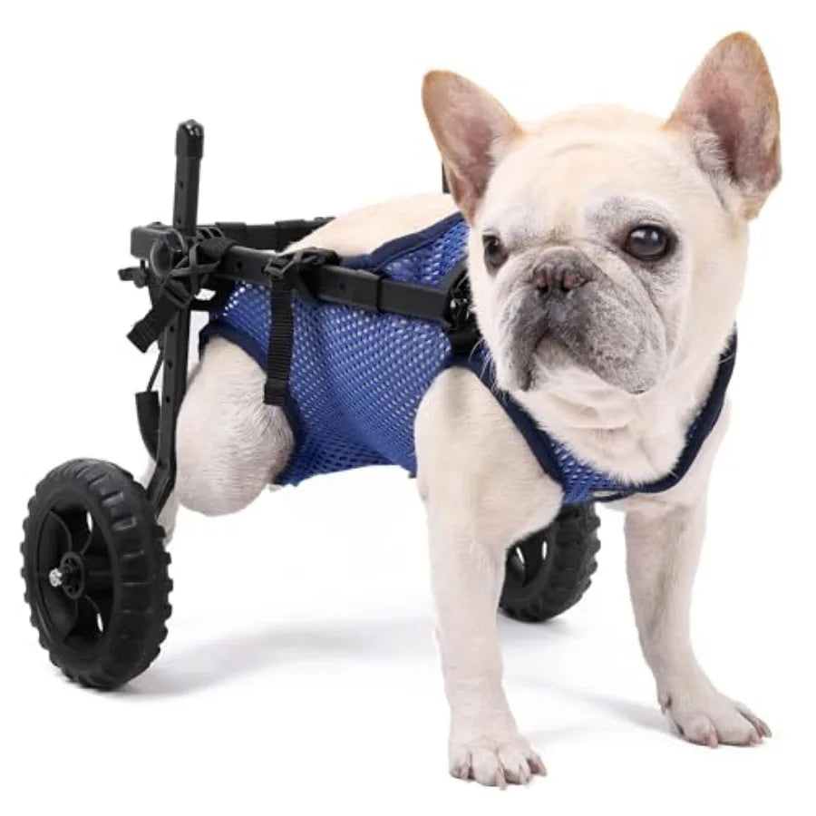 Dog Wheelchair for Back Legs, Dog Wheelchair Cart, Doggy/Cat Wheelchairs with Disabled Hind Legs Walking, Mobility Aids for Small Dog