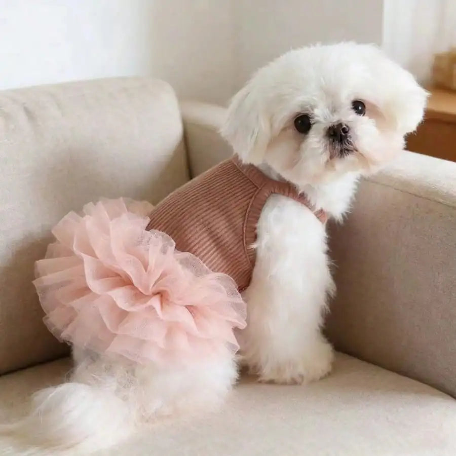 1pc Pet Dog Dress, Elegant Ballet Tulle Skirt Party Dress, Romantic Princess Dress, Suitable For Small Dogs & Cats, Lightweight For Spring/Summer