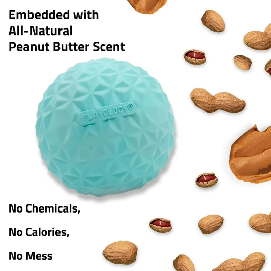 HOT SALE Interactive Dog Toys Crunchy Ball Toy 2-Pack for Dogs FUN PLAY