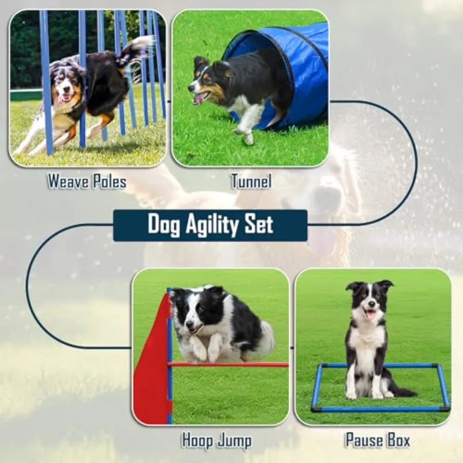 Dog Agility Course Backyard Set, Dog Agility Equipment, Portable Agility Training Equipment for Dogs, Build Dog Obstacle Course