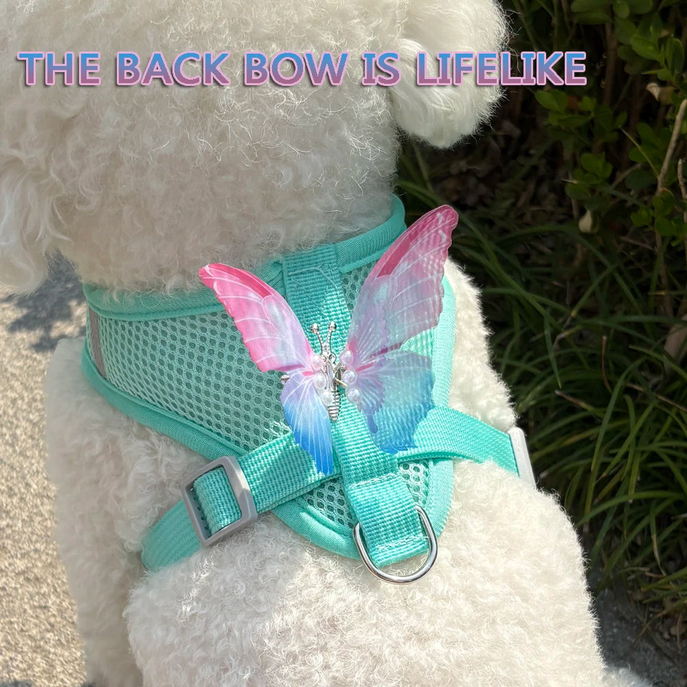 New Breathable Cute Cat Harness Set Butterfly Small Dog Harness Set Walk Outdoors Puppy Chest Vest Leash Accessories