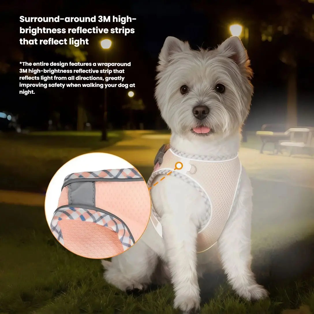 Pet Dog Harness and Leash Set for Small Medium Dog Outdoor Walking Reflective Adjustable Cat Vest Harness Chihuahua Pet Supplies