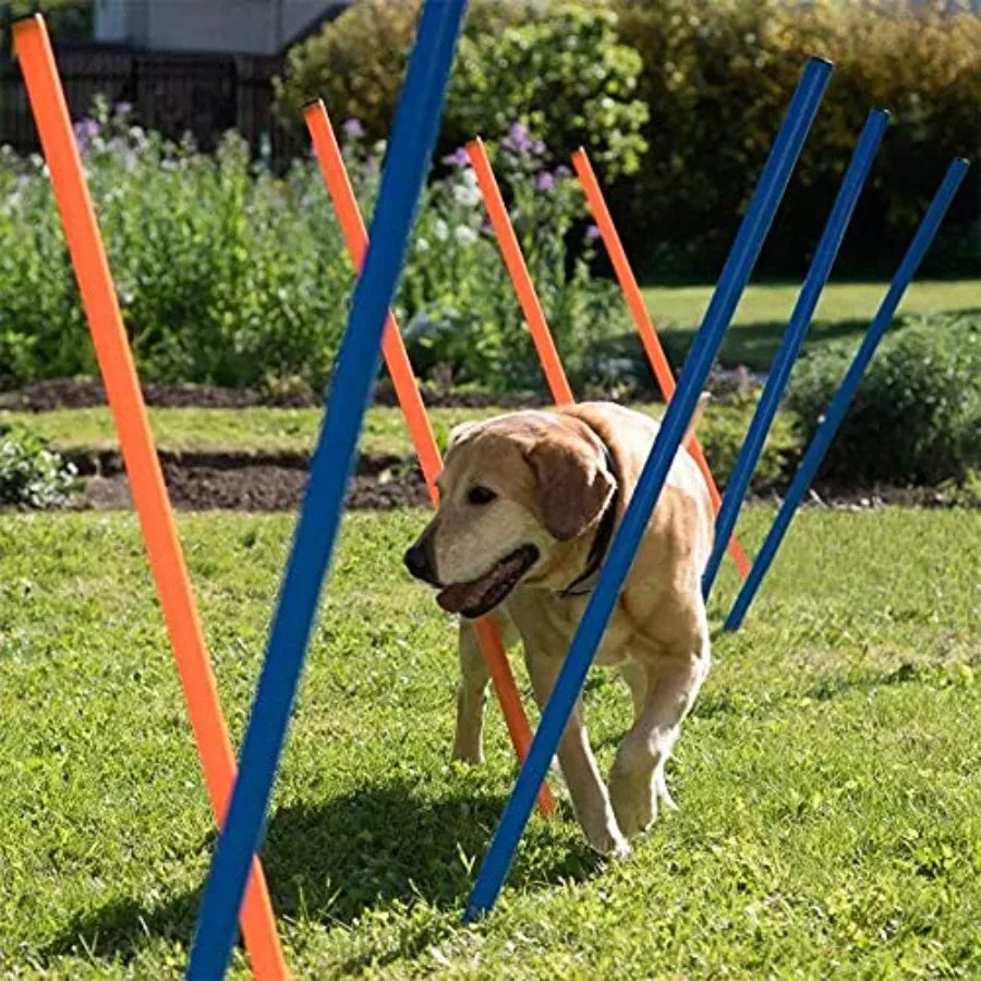 Pet Dogs Outdoor Games Agility Exercise Training Equipment Pet Training Ajustable Height Jumping Ring