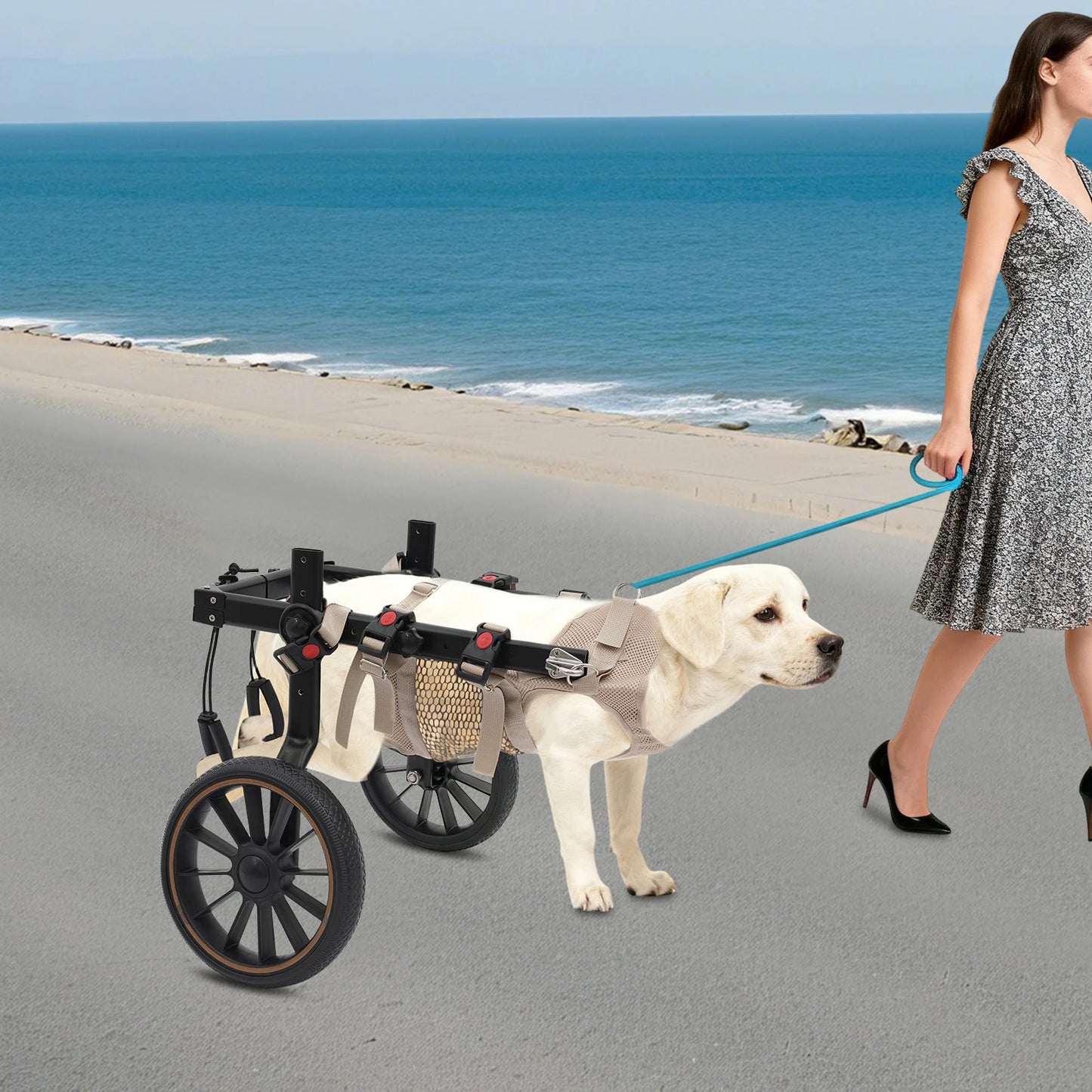 Pet Walking Aid Adjustable Dog Wheelchairs 2-Wheel Pet Rehabilitation Walking Aid Portable Walk Trolley Tools for Hind-Leg Support