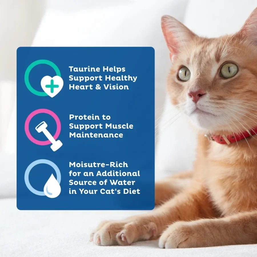 Poultry and Beef Favorites Wet Cat Food Variety Pack, 5.5 oz. Cans Pack of 24