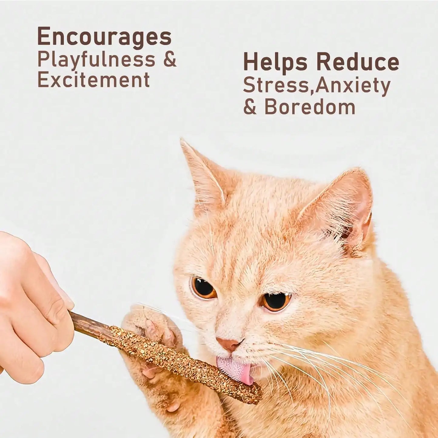 Natural Silvervine Catnip Chew Sticks (12 PC) - Edible Dental Chews For Cats & Kittens, Teething Relief Teeth Cleaning Toys