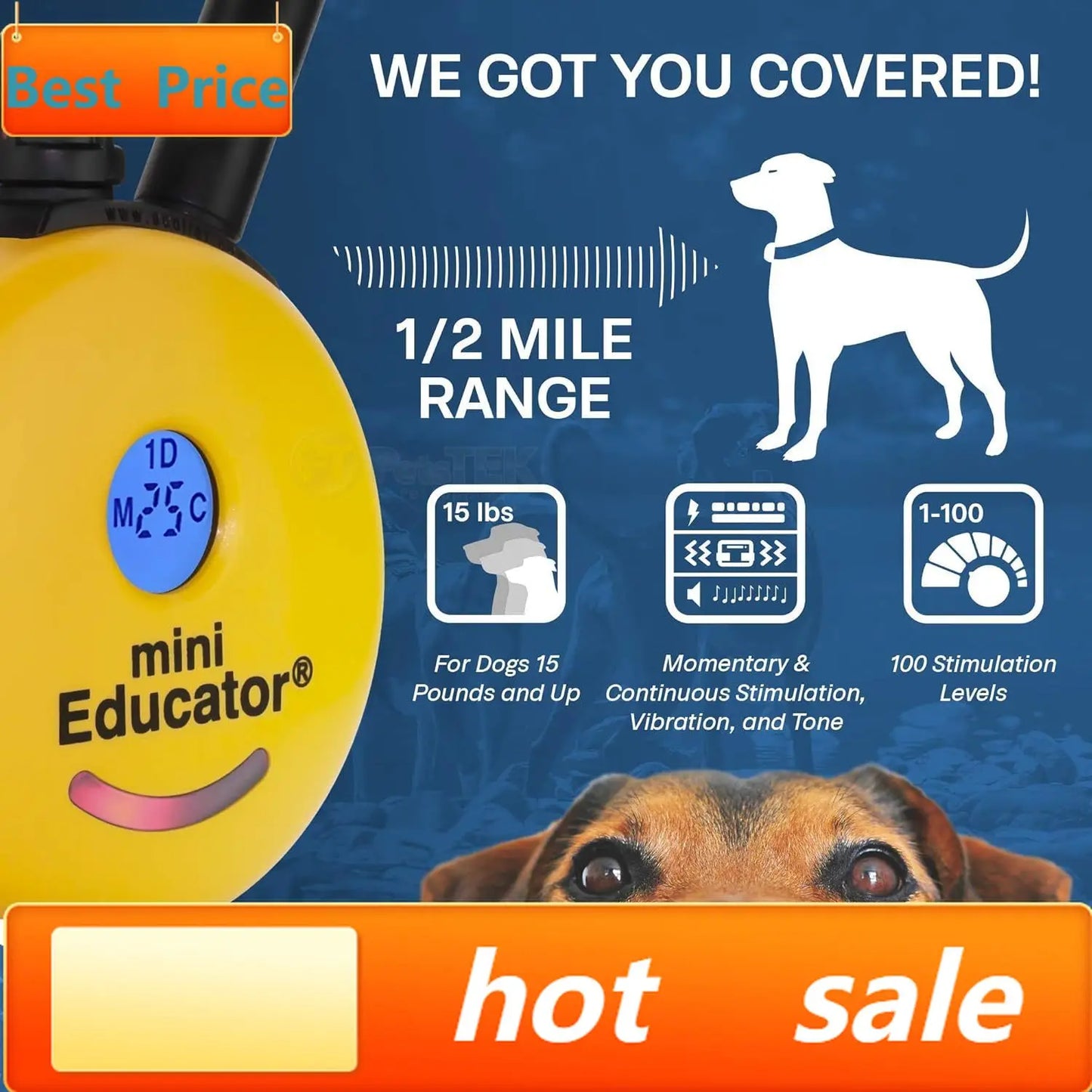 ET-300 Mini E Collar for Dog Training with Remote - 1/2 Mile Range, Waterproof, 100 Blunt Stimulation Levels