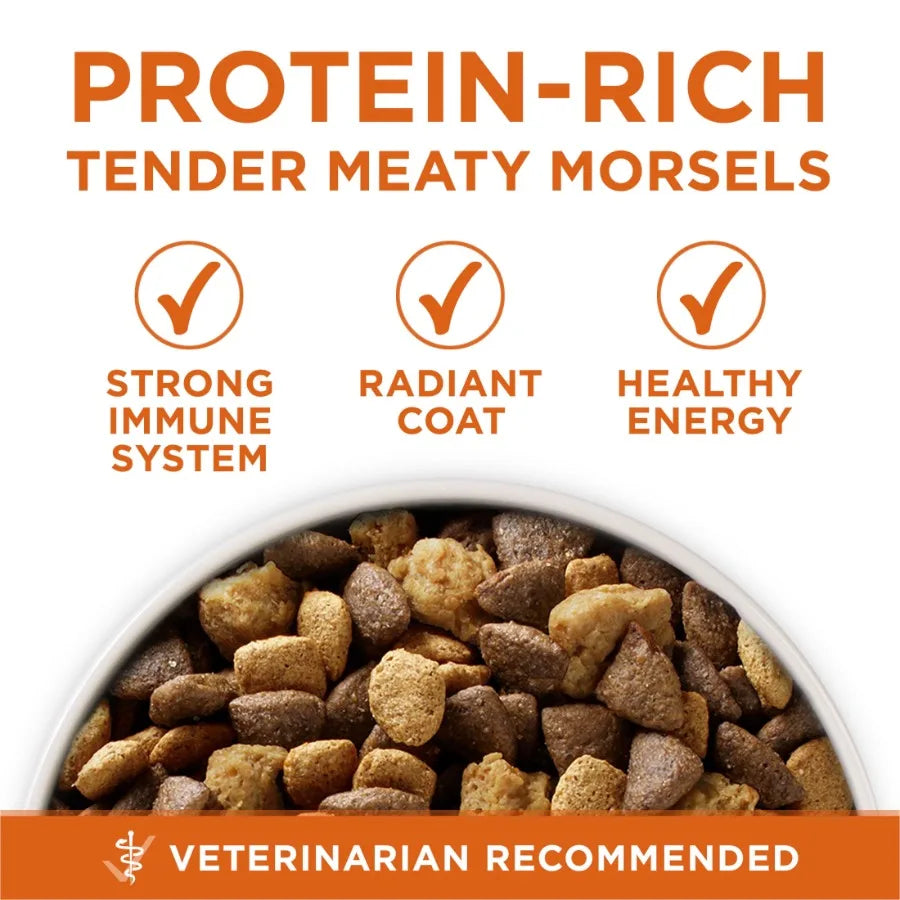 Plus Healthy Weight Dog Food Dry Formula, 8 lb.