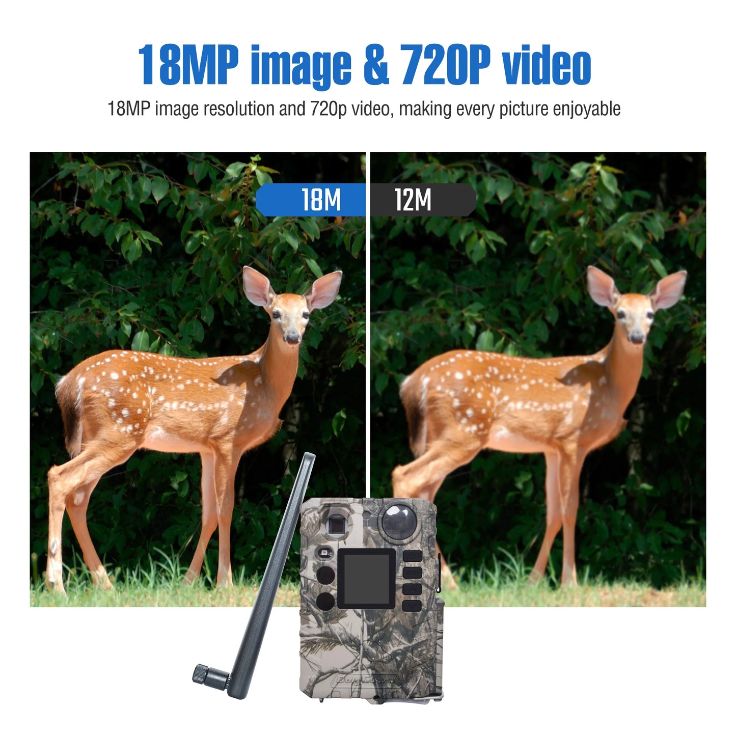 BG310-M Cellular Trail Hunting Camera 4G Wireless 18MP/720P Black IR 940nm Invisible Outdoor Wildlife Security Camera