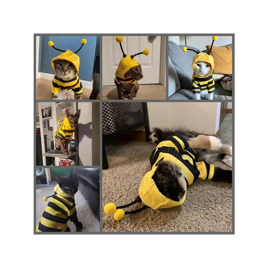 【New style】Dog Bee Costume Outfit Hoodie Cat Clothes Funny Pet Hooded Coat For Small Medium Dogs Puppy Chihuahua Yorkie Halloween