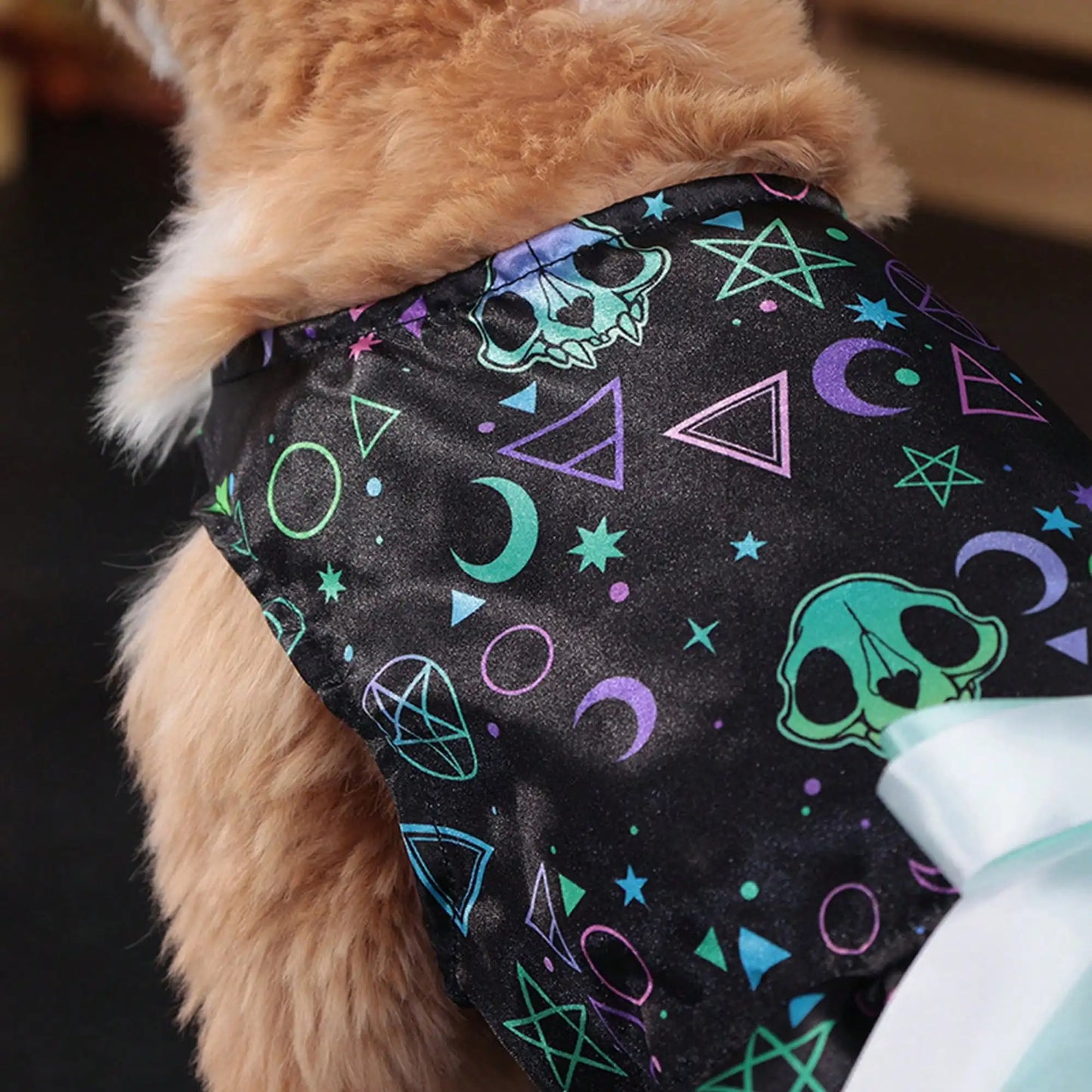 Pet Dog Dress, Funny Soft Pumpkin/Skull Print Bowknot Halloween Costume Indoor Outdoor Pet Supplies